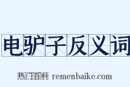 电驴子反义词是什么意思的图片